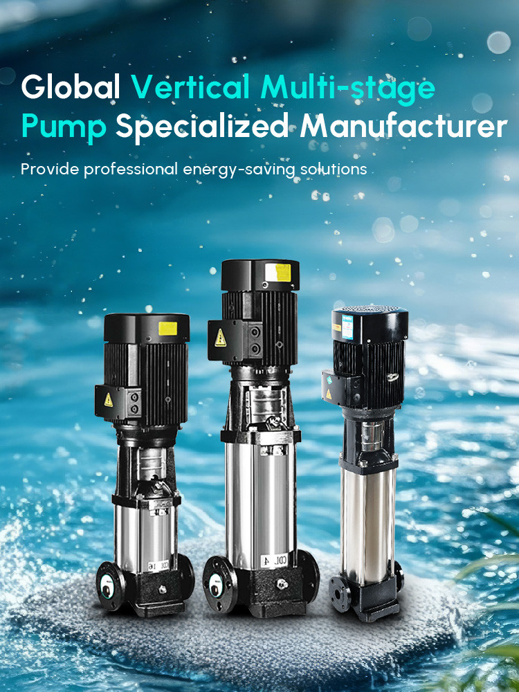 Global Vertical Multi-stage Pump Specialized Manufacturer