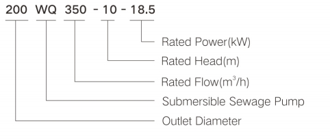 Model Description